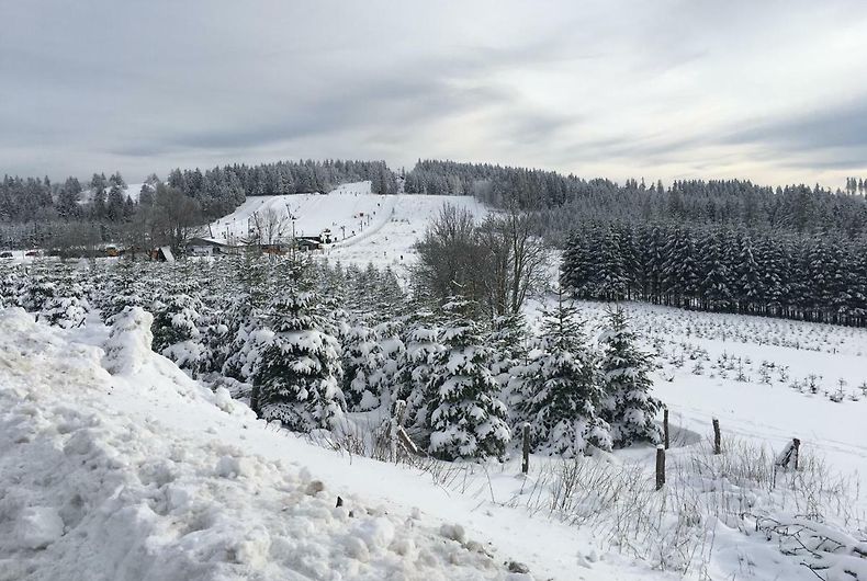 Haus Bergfrieden Winterberg