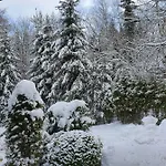 Apartamento Am Kahlen Asten - Astenkick Altastenberg
