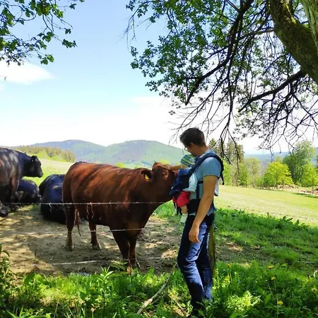 Am Skihang Altastenberg 1 Km Zum Skikarusell Apartment *
