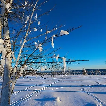 Apartment Am Skihang Altastenberg 1 Km Zum Skikarusell *