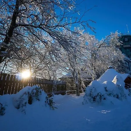 Appartement Am Astenkick Altastenberg 2,5 Km Zur Erlebniskappe Winterberg