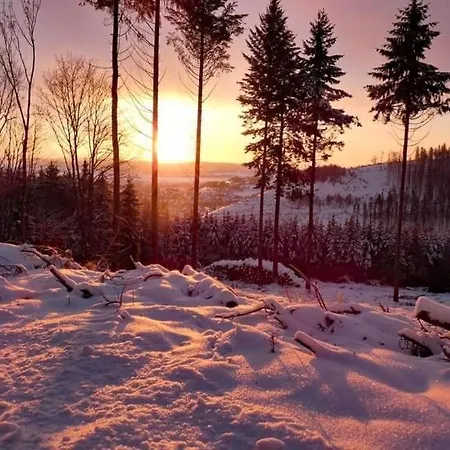 Am Astenkick Altastenberg 2,5 Km Zur Erlebniskappe * Winterberg
