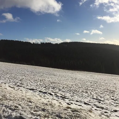 Am Skihang Altastenberg 1 Km Zum Skikarusell Apartment *