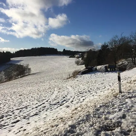 Am Skihang Altastenberg 1 Km Zum Skikarusell Apartment