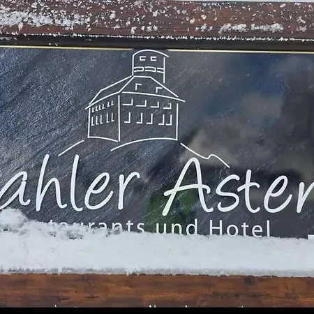 Am Skihang Altastenberg 1 Km Zum Skikarusell * Winterberg