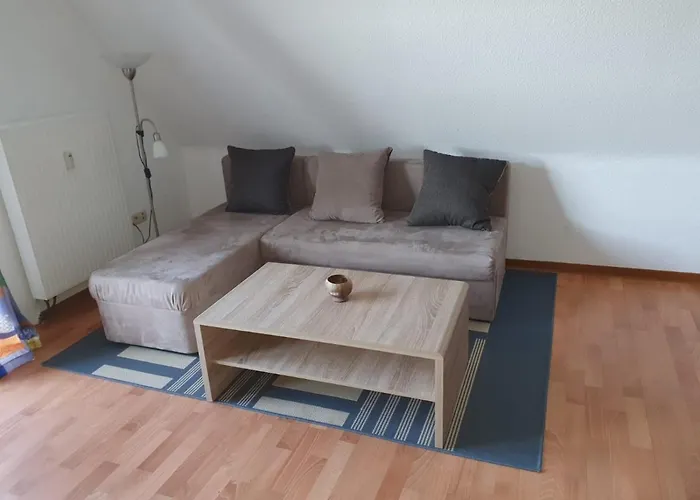 Am Skihang Altastenberg 1 Km Zum Skikarusell Apartment *