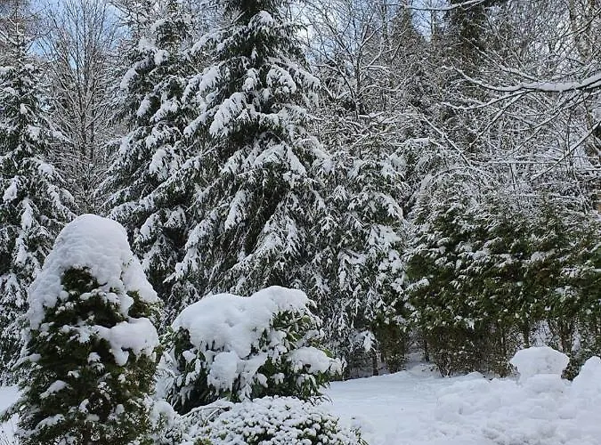 Apartment Am Skihang Altastenberg 1 Km Zum Skikarusell