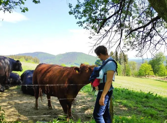 Am Skihang Altastenberg 1 Km Zum Skikarusell Apartment *