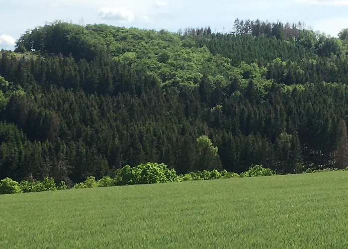 Am Skihang Altastenberg 1 Km Zum Skikarusell Winterberg