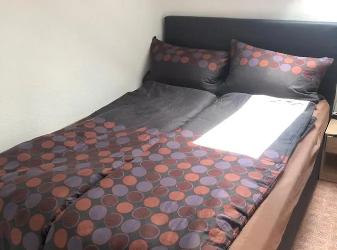 Apartment Am Skihang Altastenberg 1 Km Zum Skikarusell