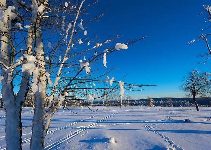 Apartment Am Skihang Altastenberg 1 Km Zum Skikarusell *