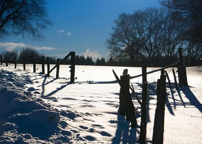 Apartment Am Skihang Altastenberg 1 Km Zum Skikarusell Winterberg