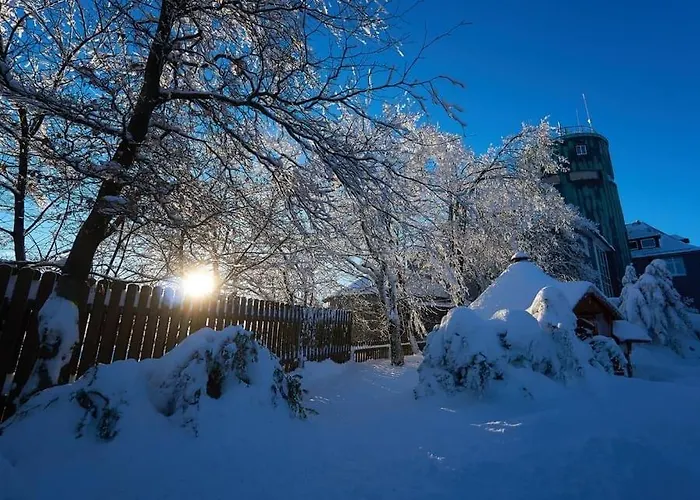 Apartment Am Skihang Altastenberg 1 Km Zum Skikarusell Winterberg