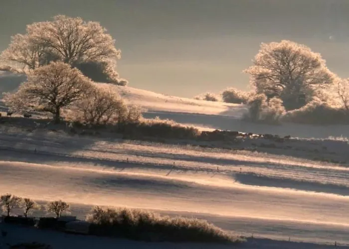 Am Skihang Altastenberg 1 Km Zum Skikarusell Apartment Winterberg