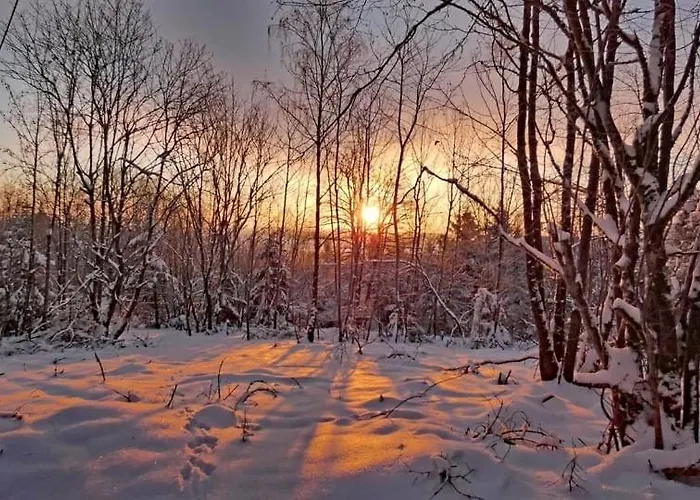 Am Skihang Altastenberg 1 Km Zum Skikarusell * Winterberg