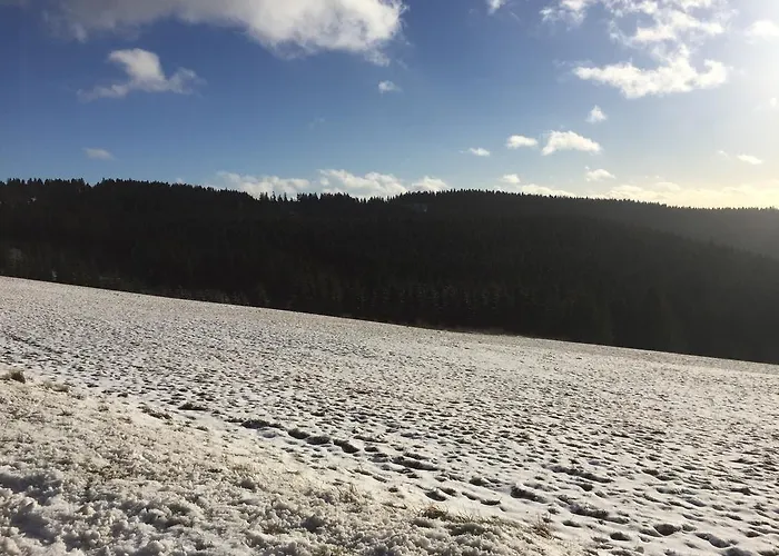 Am Skihang Altastenberg 1 Km Zum Skikarusell Apartment *