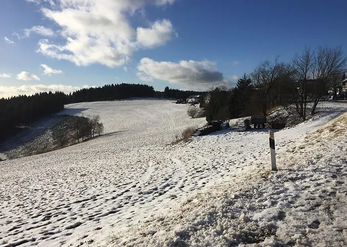 Am Skihang Altastenberg 1 Km Zum Skikarusell Apartment