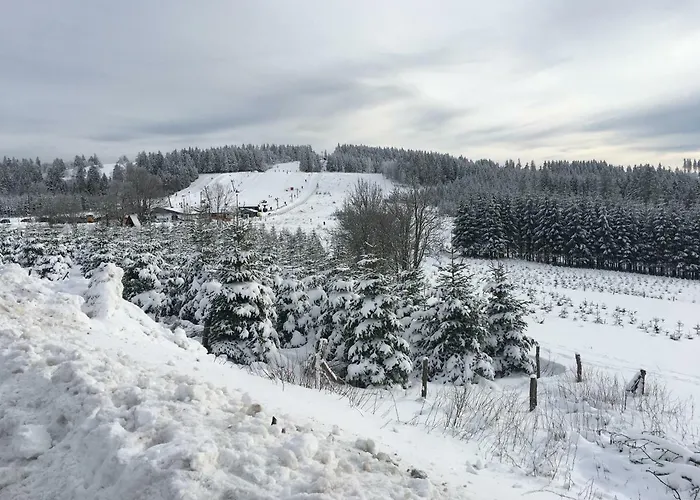 Apartment Am Skihang Altastenberg 1 Km Zum Skikarusell